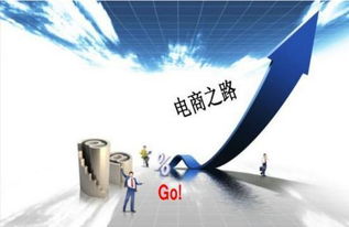 電子商務(wù)專(zhuān)業(yè)畢業(yè)生職業(yè)選擇 聚焦商務(wù)服務(wù)領(lǐng)域